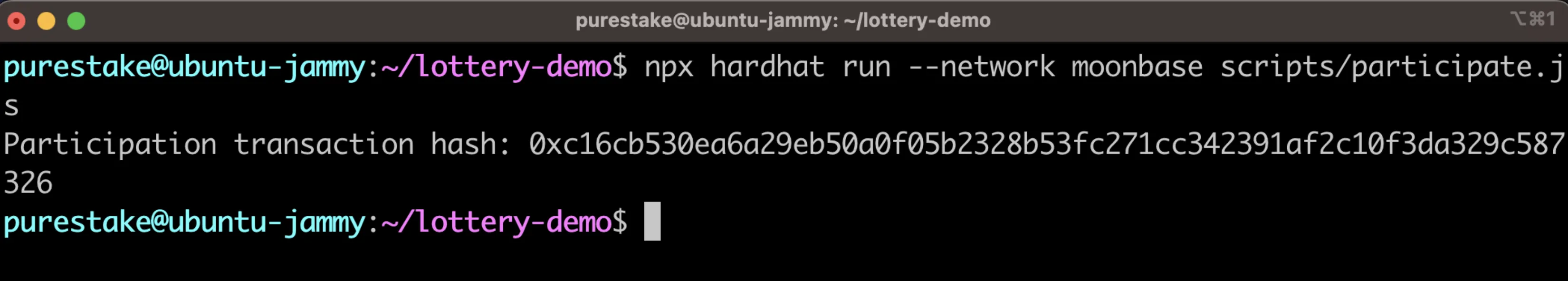 Run the partipation script using Hardhat's run command.